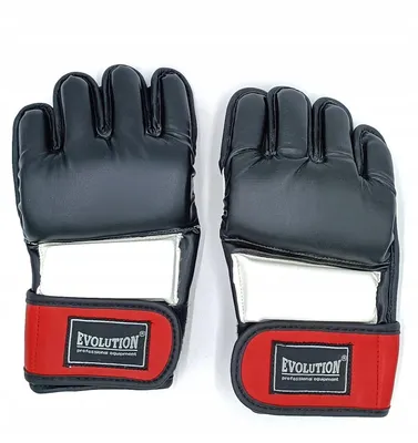 Produktbild von Evolution Red Fight MMA-Handschuhe Rot Größe XL