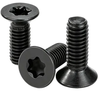 Image de Vis galvanisées Torx - 10 pièces, M6 x 25 mm