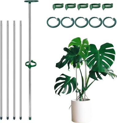 Obrázok produktu pre Podpera na rastliny 28-52 cm, sada 5 ks, teleskopická, pre popínavé rastliny