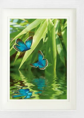 Produktbild von Frühling Gerahmtes Bild Mit Edlem Passepartout | Wand-Bilder | Im Bilderrahmen - Schmetterlings-Tanzœber Dem See (40 x 30 cm)