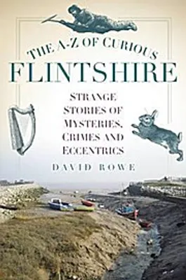 Produktbild von The A-Z of Curious Flintshire