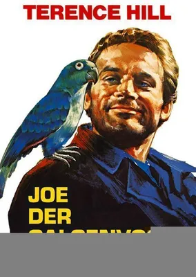 Produktbild von Joe, der Galgenvogel mit Terence Hill