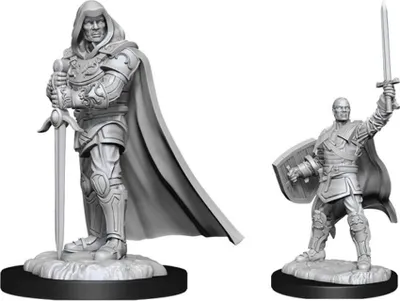 Produktbild von D&D Nolzur's Marvelous Miniatures Human Paladin Male