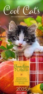 Productafbeelding van Cool Cats Familieplanner 2025