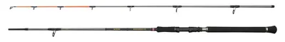 Produktbild von Penn Regiment IV Spin/Pilk 1002 3,04m 20-70g - Pilkrute