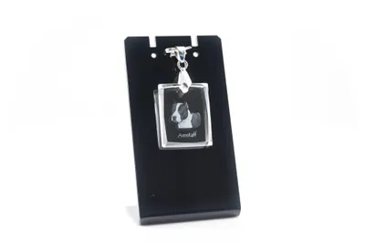 Image de American Staffordshire Terrier - Pendentif en cristal avec chien, collier avec photo, bijoux uniques d'Art-Dog