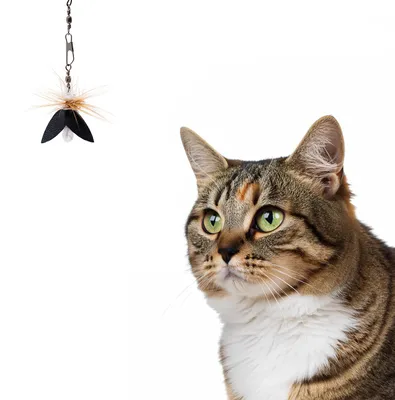 Produktbild von Spielanhänger für Katzenangel · Katzenangel-Aufsatz · Katzenspielzeug Fliege mit Lederflügeln · weiß