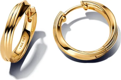 A pair of gold hoop earrings are displayed against a white background.