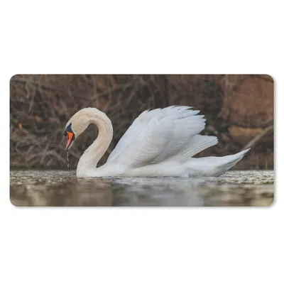 Produktbild von MuchoWow® Mauspad Mousepad Schwan - Wasser - Tiere - Vogel 60x30 cm - Mousepads - Maus Mat - Pad - Mausunterlage - Nachhaltig