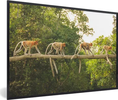 Produktbild von MuchoWow® MuchoWow® Gerahmtes Poster Affen laufen auf Ast 90x60 cm - Poster mit zchwarzem Bilderrahmen - Fotorahmen - Foto-Plakat