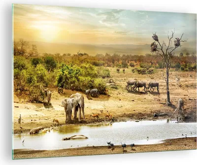 Produktbild von Bilder auf glas - Safari Tiere - 70x50cm - Glasbilder - Wandbilder - Bilder - Kunstdruck - zum Aufhängen bereit - Wanddekoration aus Glas - Glas Bilder - Wandbild auf Glas - Einteilig - GAA70x50-3880
