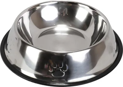 Zdjęcie produktu dla Metalowa Miska dla Psa z Antypoślizgowym Dnem i Wzorem Łapki, 500 ml