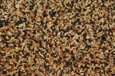 Image de Wielink, mélange de graines pour oiseaux sauvages – 20 kg