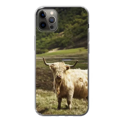 Produktbild von MuchoWow® Handyhülle Schutzhülle Hülle für iPhone 13 Pro Max Schottische Highlander - Pfad - Wald Silikon Softcase Handy Hülle - Mobiltelefon