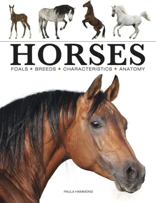 Produktbild von Horses
