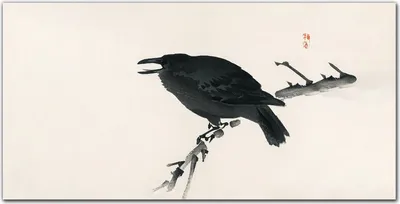 Produktbild von Coloray Bild aus Acryl 120 cm x 60 cm - Wanddekoration Wohnzimmer Acrylblock mit Bild Gehärtetes Acryl Dekoration Küche - Vogel Krähe