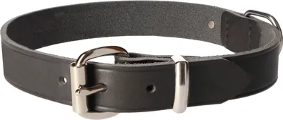 Produktbild von Dingo Hochwertige Hundehalsband aus Leder 2,5x60 cm Grau