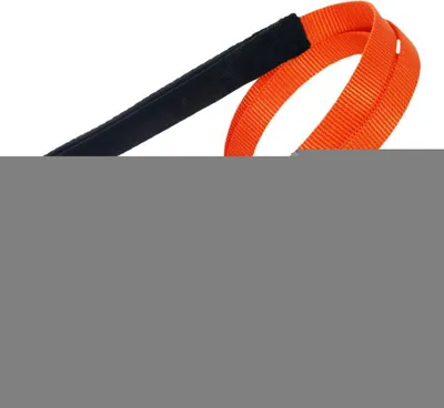 Produktbild von Hundeleine Red Dingo Orange (2 x 120 cm)