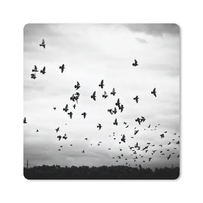 Produktbild von MuchoWow® Mauspad Mousepad Tiere - Vögel - Wolken - Schwarz - Weiß 30x30 cm - Mousepads - Maus Mat - Pad - Mausunterlage - Gaming