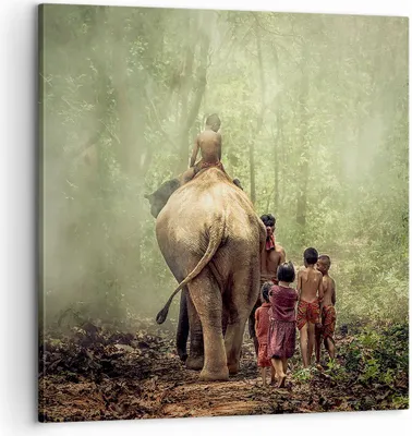 Produktbild von Bild auf Leinwand - Leinwandbild - Elefant Dschungel Nebel - 60x60cm - Wand Bild - Wanddeko - Leinwanddruck - Bilder - Kunstdruck - Wanddekoration - Leinwand bilder - Wandkunst - AC60x60-3438