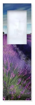 Productafbeelding van Museumwebshop – Boekenlegger met vergrootglas, Lavendelveld