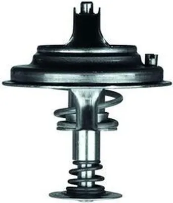 Image de Thermostat Liquide De Refroidissement