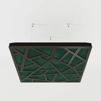 Productafbeelding van Set van 4 akoestische plafondpanelen SKYROSS, 50x50x5 cm, wenge/groen