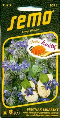 Produktbild von Samen -  Borretsch - essbare Blüten