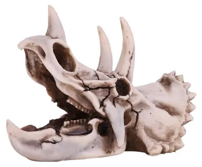 Obrázok produktu pre Omgoods - Soška lebky dinosaura na dekoráciu