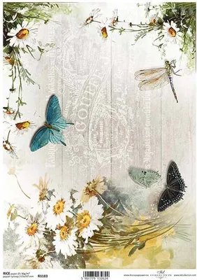 Image de ITD Papier de riz découpage Papier de bricolage Technique de serviettes R1183 / Papillon Libellule Fleurs