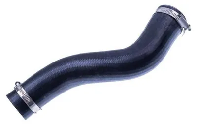 Image de EBG Durite de sortie d'air de suralimentation Renault 8200775694