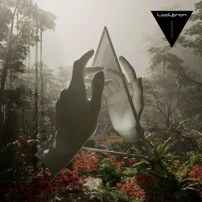 Produktbild von Ladytron: Paradises
