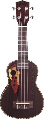 Produktbild von ammoon 21 Zoll Palisander Holz Ukulele Ukelele Uke mit EQ