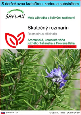 Obrázok produktu pre SAFLAX Darčeková sada - Skutočný rozmarín - Rosmarinus officinalis - 100 Semená - S darčekovou krabičkou, prepravným štítkom, darčekovou kartou a pestovateľským médiom
