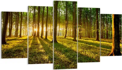 Produktbild von Bild auf Leinwand - Leinwandbild - Wald grün Sonnenstrahlen Natur - 160x85cm - Wand Bild - Wanddeko - Leinwanddruck - Bilder - Kunstdruck - Wanddekoration - Leinwand bilder - Wandkunst - EA160x85-2510