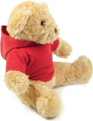 Immagine prodotto di Felpa con cappuccio Mumbles Teddy