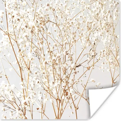 Produktbild von MuchoWow® Poster Natur - Äste - Blumen 50x50 cm - Wohnzimmerdekoration