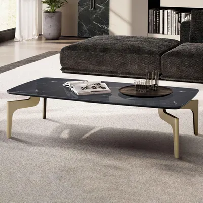 Immagine prodotto di WOHNLING Tavolino da salotto 120x60x30,5 cm con effetto marmo lucido nero/oro Tavolino da salotto rettangolare con struttura in metallo Tavolino da divano Grande tavolo