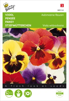 Artikelbild 2 von 'Stiefmütterchen Riesen von Aalsmeer Mischung'