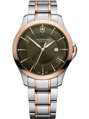 Obrázok produktu pre Pánské hodinky Victorinox 241913 Alliance