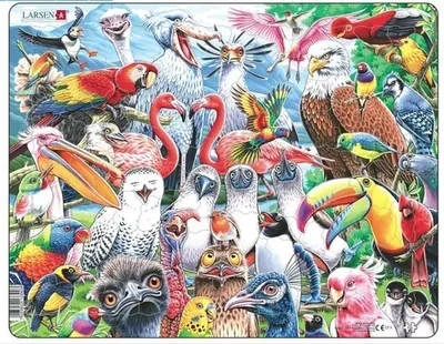 Obrázok produktu pre Vtky sveta puzzle 115 dielikov