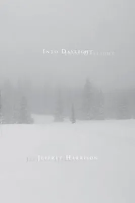 Produktbild von Into Daylight