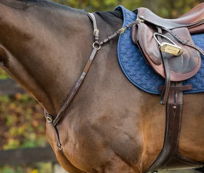 Produktbild von Dyon D-Collection Vorderzeug Bridge, Größe:Warmblut, Farbe:braun
