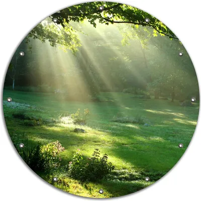 Produktbild von Wallario rundes Outdoor-Poster für Garten oder Balkon, Motiv Sonnenstrahlen im Wald, 90 cm Durchmesser