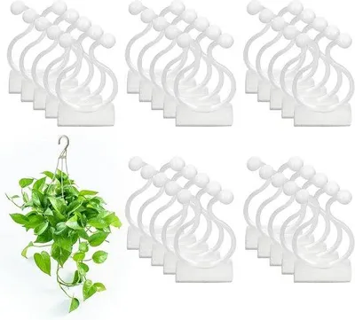 Produktbild von Klebende Pflanzenklammer Unterstützung für Kletterpflanzen 100 Stück