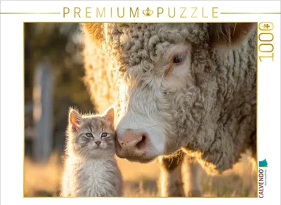 Produktbild von CALVENDO Puzzle Ich hab dich lieb | 1000 Teile Lege-Größe 64x48cm Foto-Puzzle für glückliche Stunden