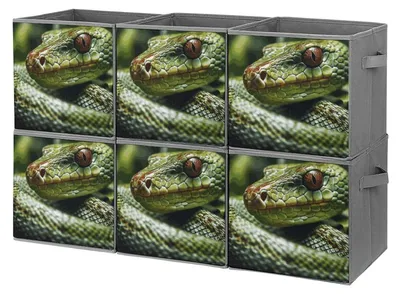 Zdjęcie produktu dla Zestaw 6 składanych pojemników do przechowywania z podwójnymi uchwytami