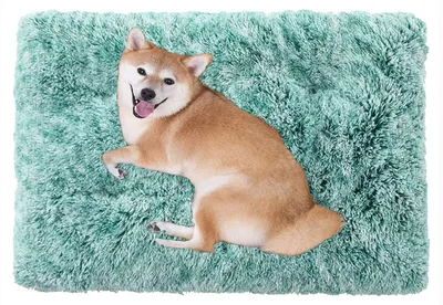 Image de Lit douillet en peluche pour chiens, dimensions 53x38 cm