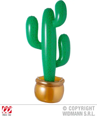 Immagine prodotto di Cactus gonfiabile 90 cm - Cactus del deserto