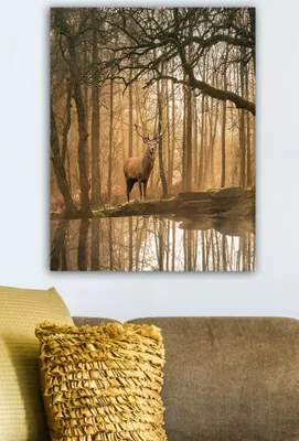 Obrázok produktu pre Wallity, 1276742665- TCR1697, Farebné, Výtlačky na plátno, 50 x 70 cm, 100% plátno